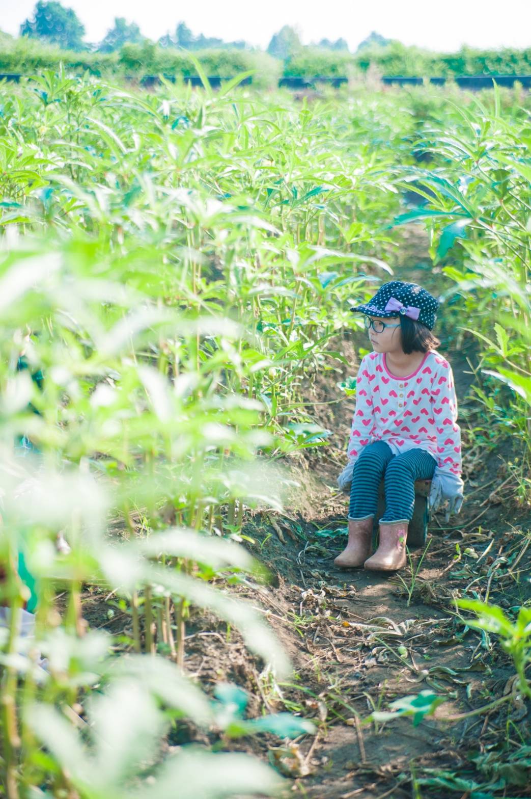 美腸芋（みっちょいも）