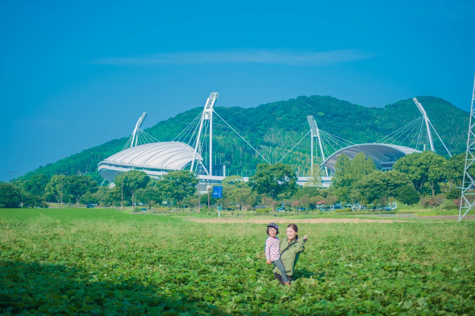 美腸芋（みっちょいも）